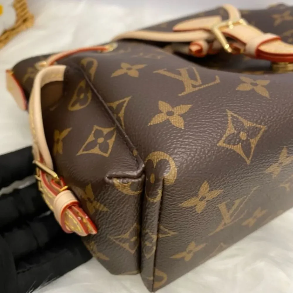 Louis Vuitton brand louis